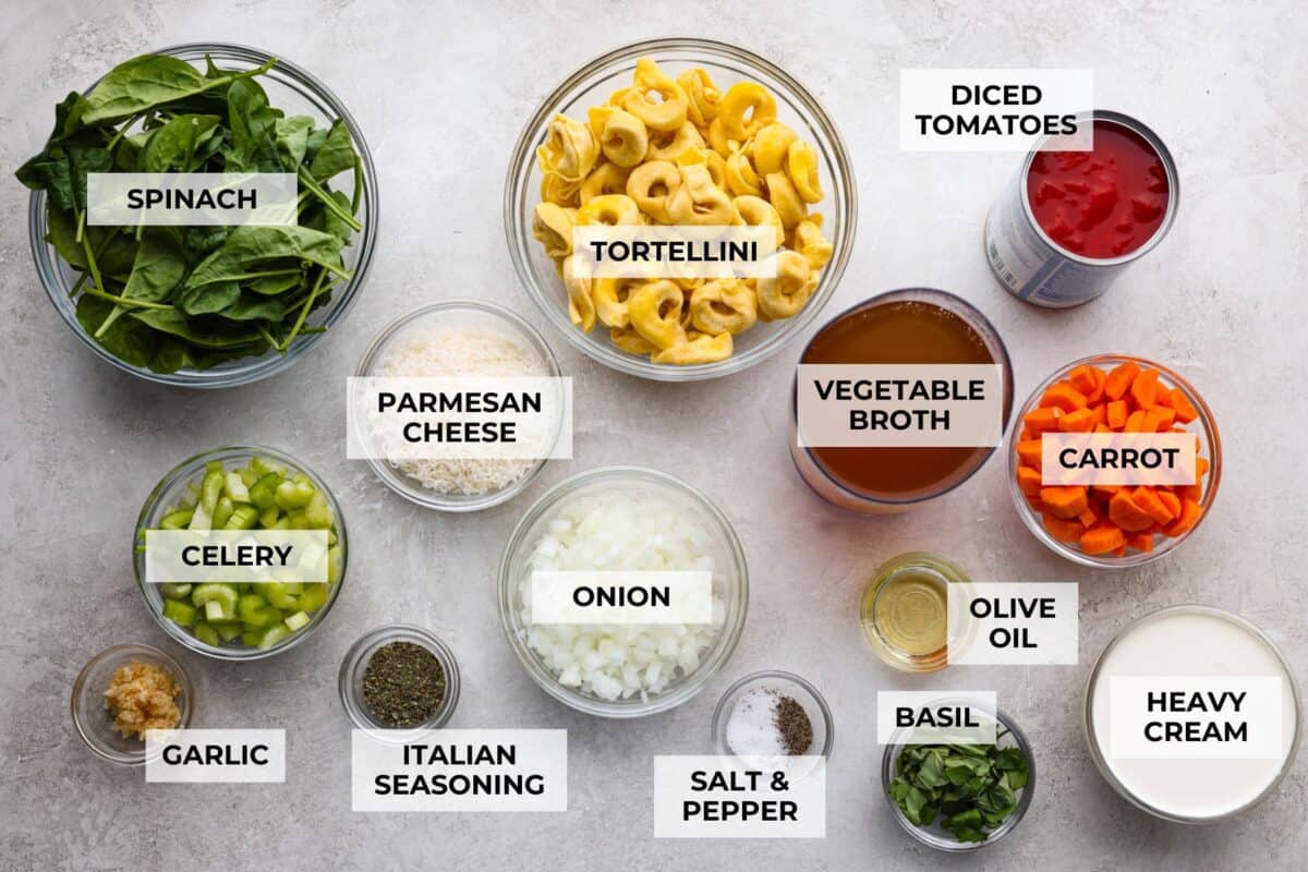 Overhead shot of labeled creamy vegetable tortellini soup ingredients.