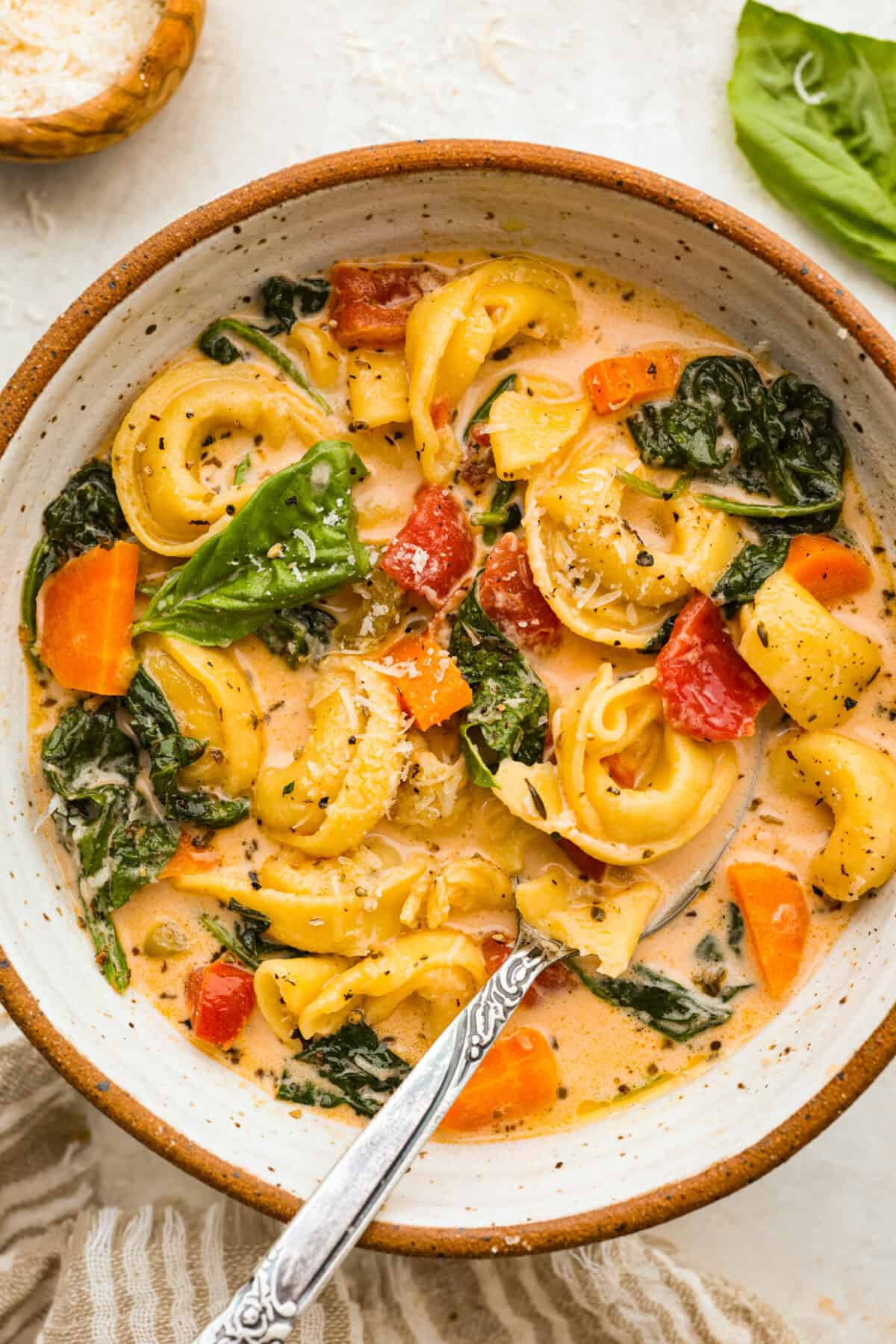 Bowl of creamy vegetable tortellini soup.