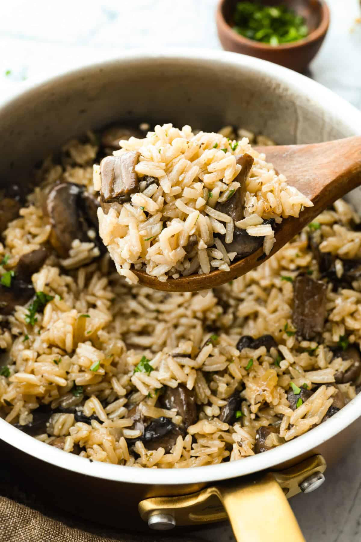 Someone scooping a spoonful of mushroom rice. 